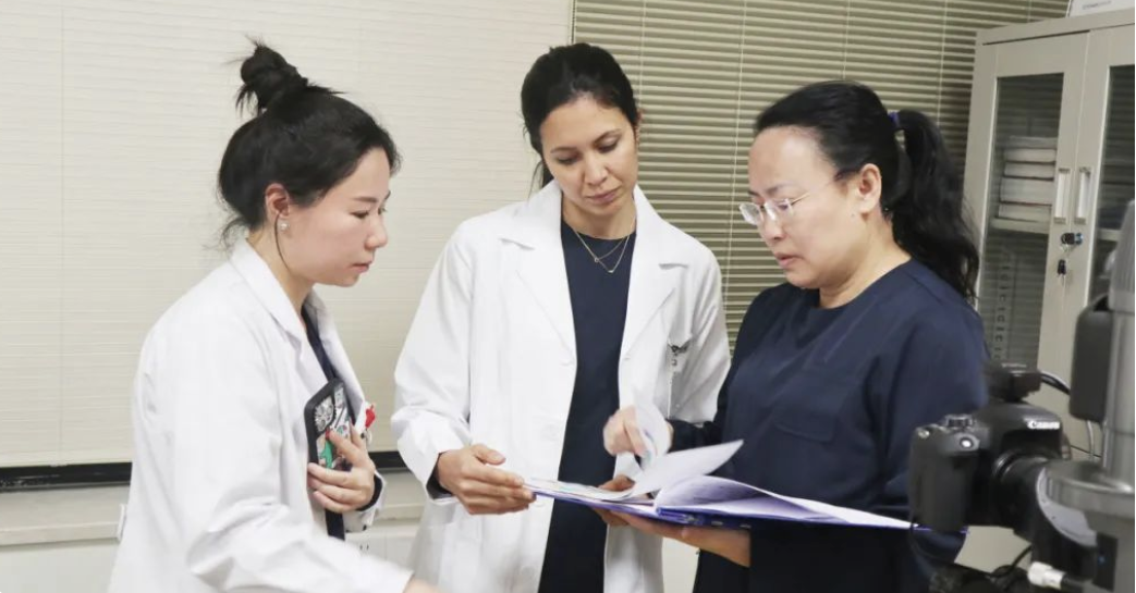 Andrea Llovet Rausell