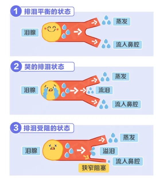 圖片.png 圖片.png