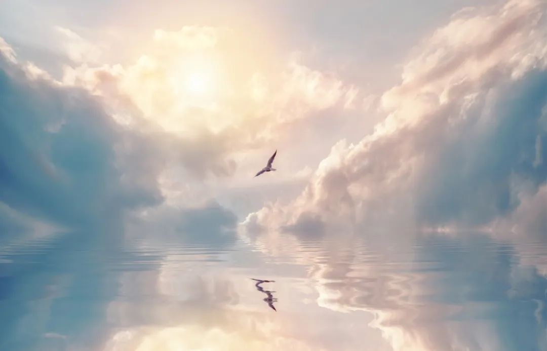 圖片.png 圖片.png