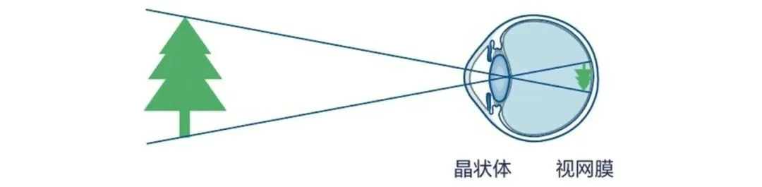 圖片.png 圖片.png