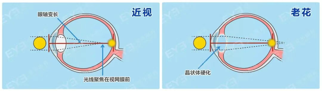 圖片.png 圖片.png